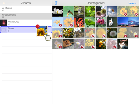 简单相册整理 8 (免费版)