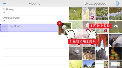 简单相册整理 8 (免费版)