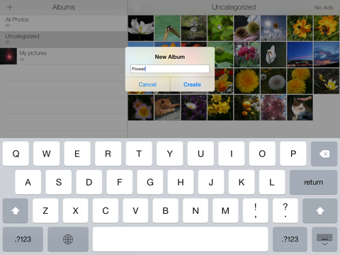 简单相册整理 8 (免费版)