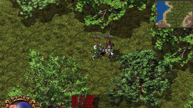 梦回传奇(backmir)法师满技能存档下载v2.09.33 绿色版