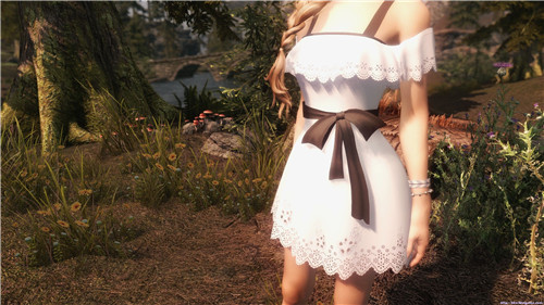 上古卷轴5天际夏日连衣裙mod下载