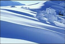 新雪地大逃亡下载正式版