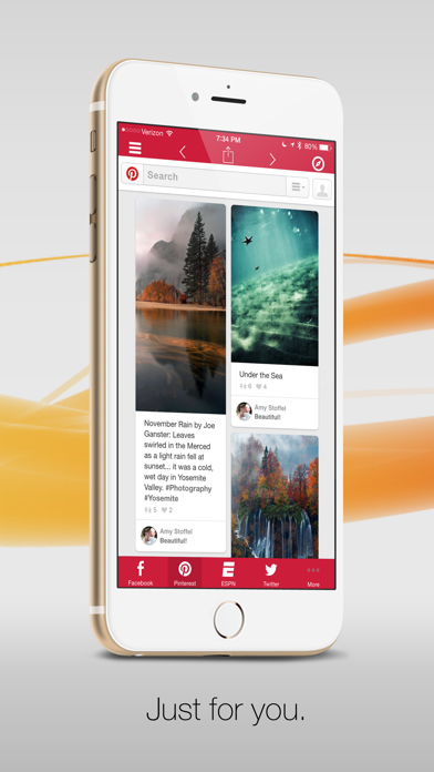 针对Google应用的G-Whizz! Plus - 排名第一的Google应用浏览器