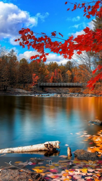 高清壁纸10000+ - 手机壁纸大全