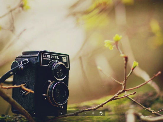 高清壁纸10000+ - 手机壁纸大全