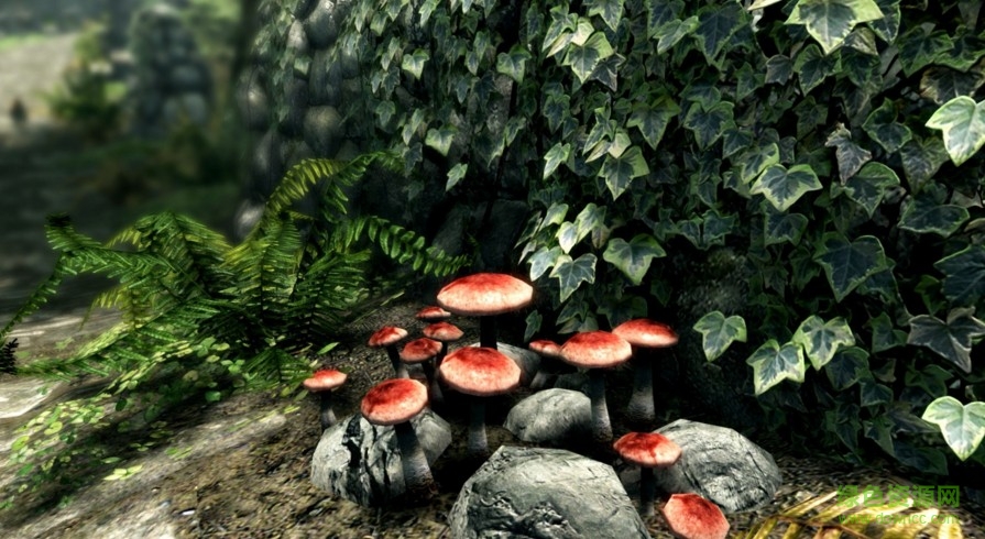 21017上古卷轴5天际脚本扩展工具skse下载v1.9.32.0.8 最新版