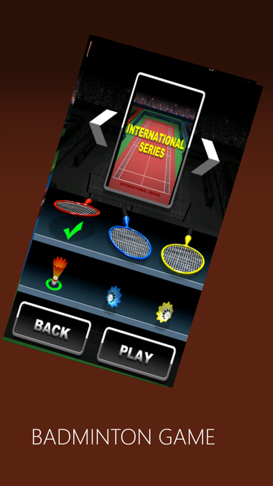 羽毛球粉丝冠军