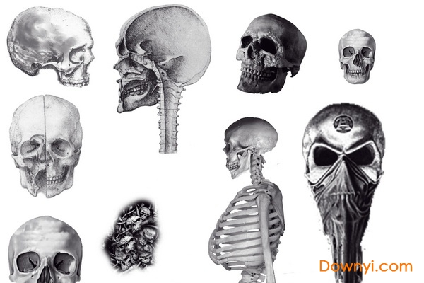 psd素材恐怖鬼怪骷髅下载免费版