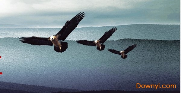 宣传页设计图片下载免费版