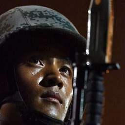 军警图片大全下载绿色版