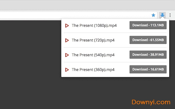 video downloader professional chrome(网页视频下载工具)下载免费版