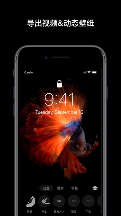 Disflow - 动态照片编辑器