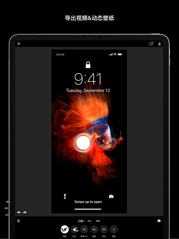 Disflow - 动态照片编辑器