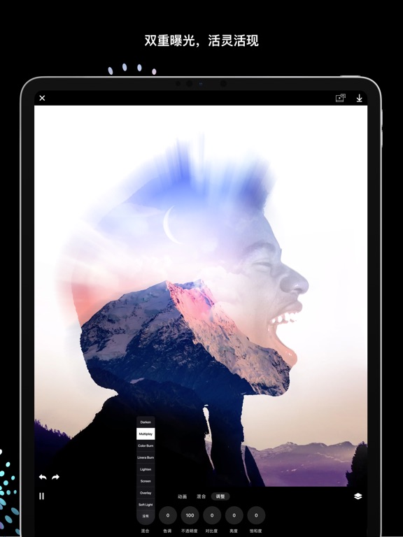 Disflow - 动态照片编辑器