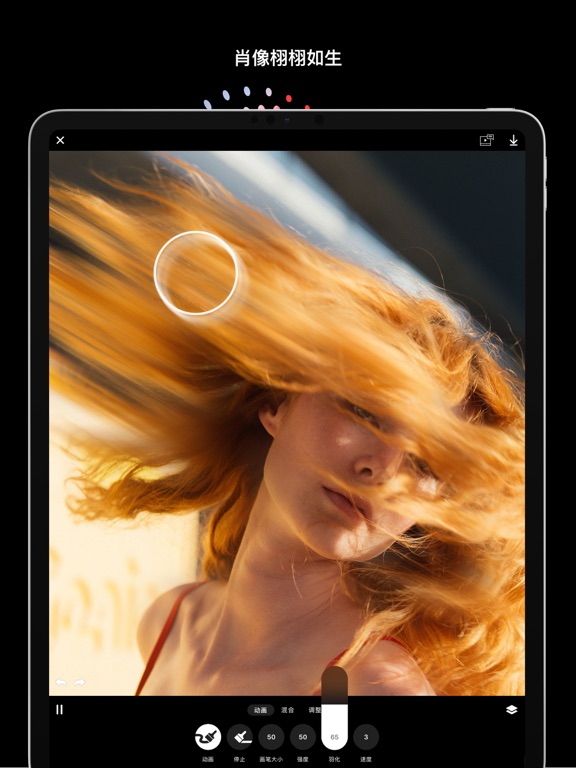 Disflow - 动态照片编辑器