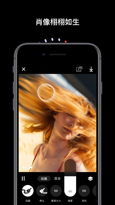 Disflow - 动态照片编辑器