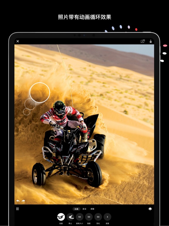 Disflow - 动态照片编辑器