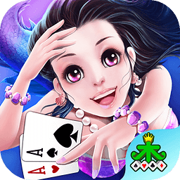 放英雄电脑版下载v1.0 最新版