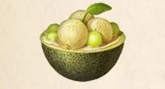 《明日之后》哈密瓜哈密瓜食谱配方