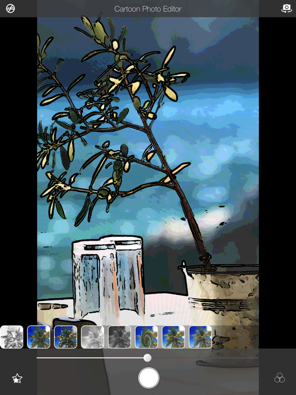 漫画照片编辑 - Cartoon Photo Editor