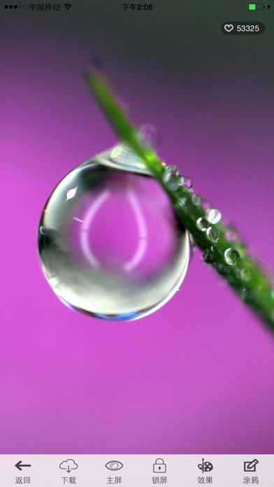 精品壁纸100000+ (海量高清主题墙纸)