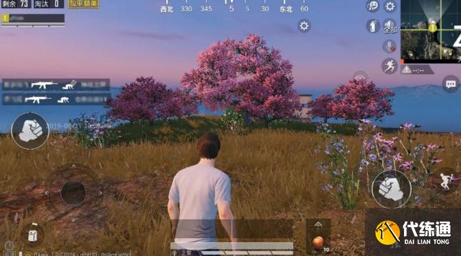 和平精英自我要求_和平精英发展规划