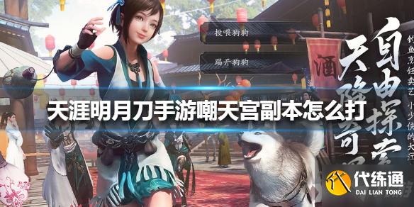 天涯明月刀手游嘲天宫副本攻略_天涯明月刀手游打法攻略