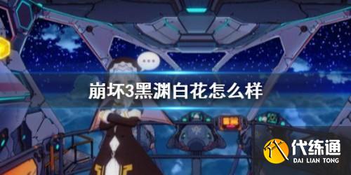 崩坏3黑渊白花强度对比_黑渊白花攻略