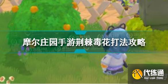 摩尔庄园手游荆棘毒花怎么打