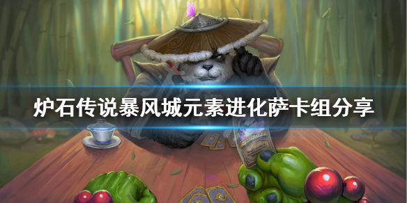 元素进化萨卡组_暴风城元素进化萨卡组