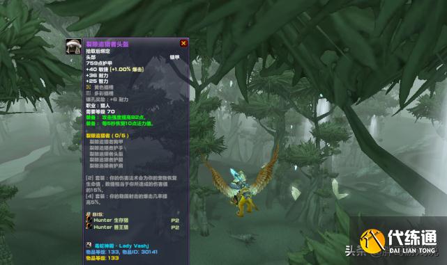 魔兽TBC：猎人T5套装真正用法，搭配一款散件，轻松单刷风剑老虎