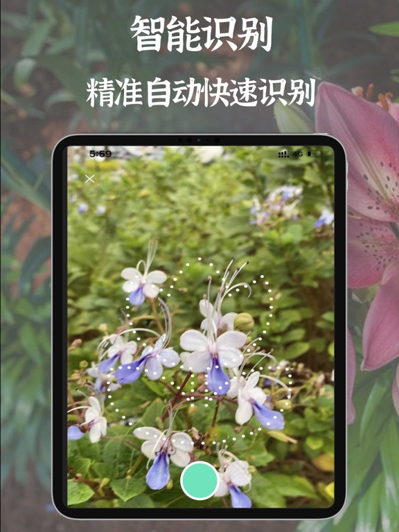 拍照识别植物-精准识花草虫鸟树木