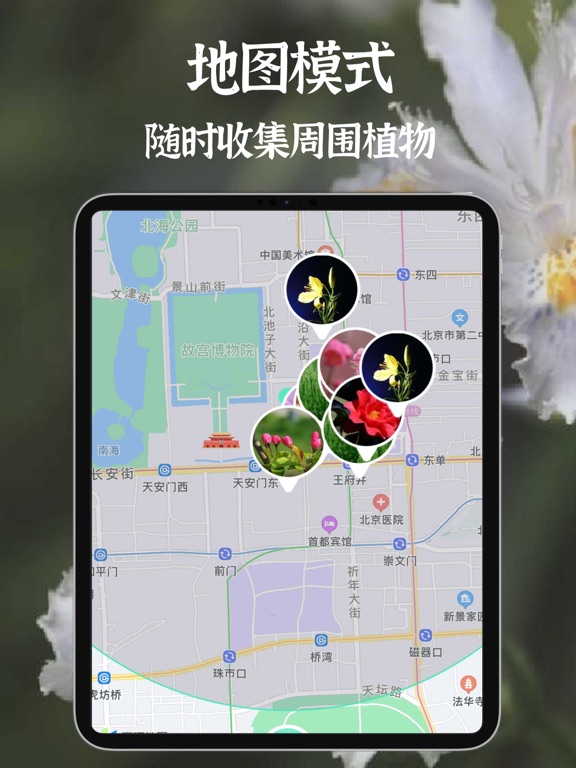 拍照识别植物-精准识花草虫鸟树木
