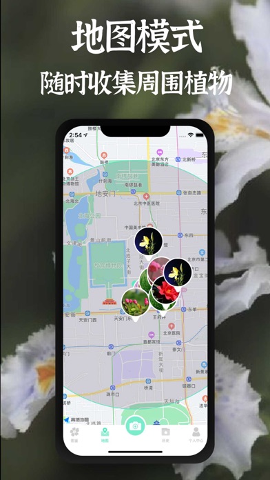 拍照识别植物-精准识花草虫鸟树木