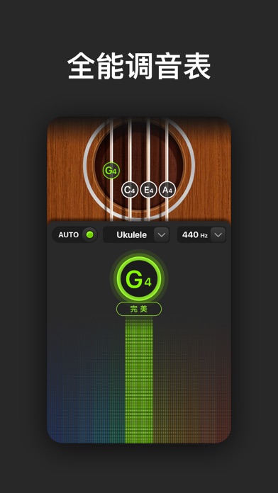 Tune Labs - 全能调音表