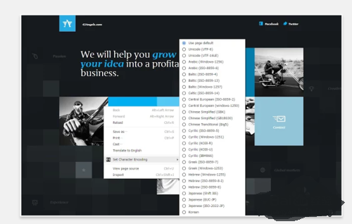 最新版谷歌浏览器字体编码设置插件下载免费版