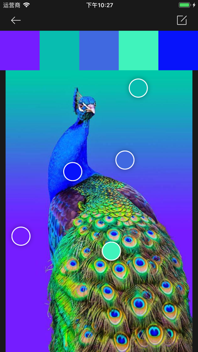 无限色卡-配色无忧