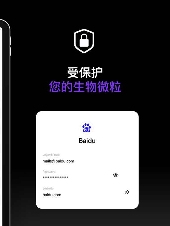 密码管理: Secure Password Vault