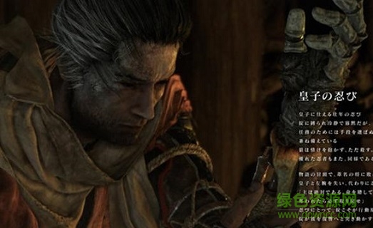 只狼影逝二度存档 只狼影逝二度存档下载