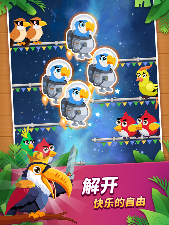 轻松乐消消-鸟排序益智游戏