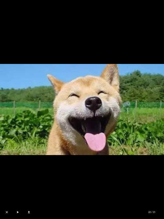 指纹相册管家-私密照片视频保险箱