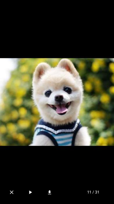 指纹相册管家-私密照片视频保险箱