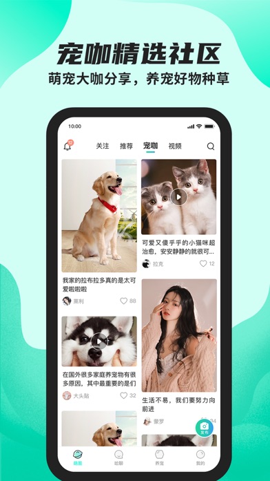 陌哈陌哈-科学记录养宠物铲屎官的日常