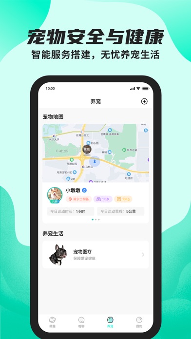 陌哈陌哈-科学记录养宠物铲屎官的日常