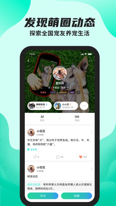 陌哈陌哈-科学记录养宠物铲屎官的日常