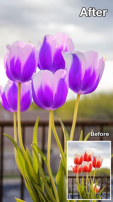 色彩大师 - 改变照片颜色,黑白多彩特效