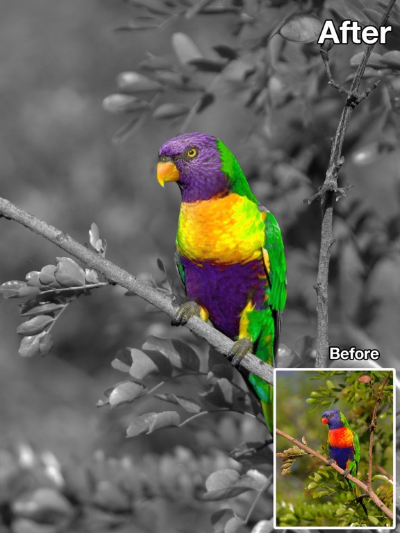 色彩大师 - 改变照片颜色,黑白多彩特效