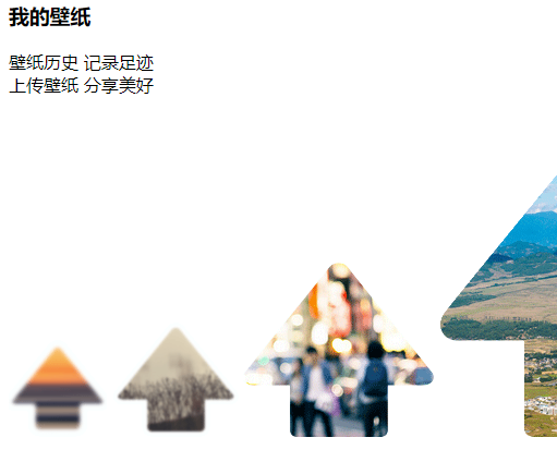 迅雷壁纸最新版2024免费下载