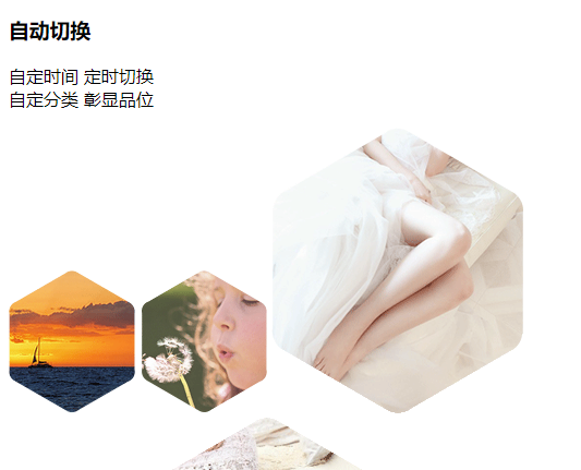 迅雷壁纸最新版2024免费下载