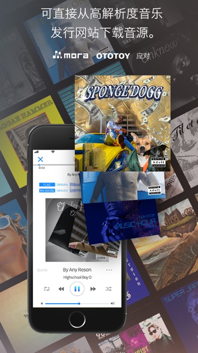 支持高分辨率播放 - 音乐播放器[NePLAYER]